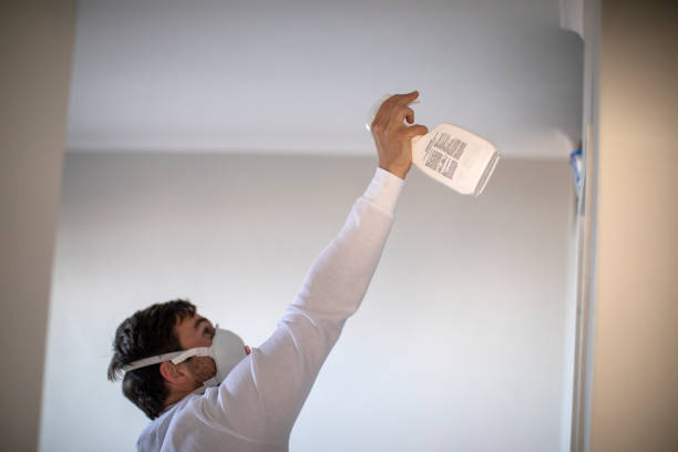 Best Mold Testing and Removal  in Hamburg, AR