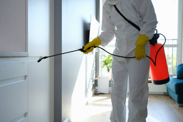 Best Emergency Mold Removal  in Hamburg, AR
