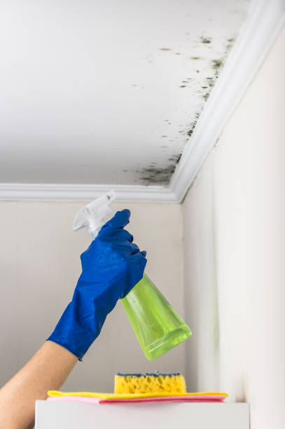Best Crawl Space Mold Removal  in Hamburg, AR